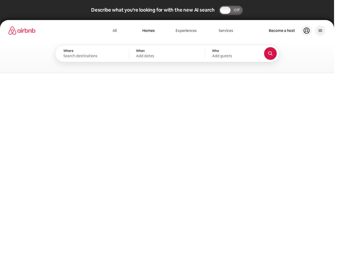 Airbnb Homepage Snapshot